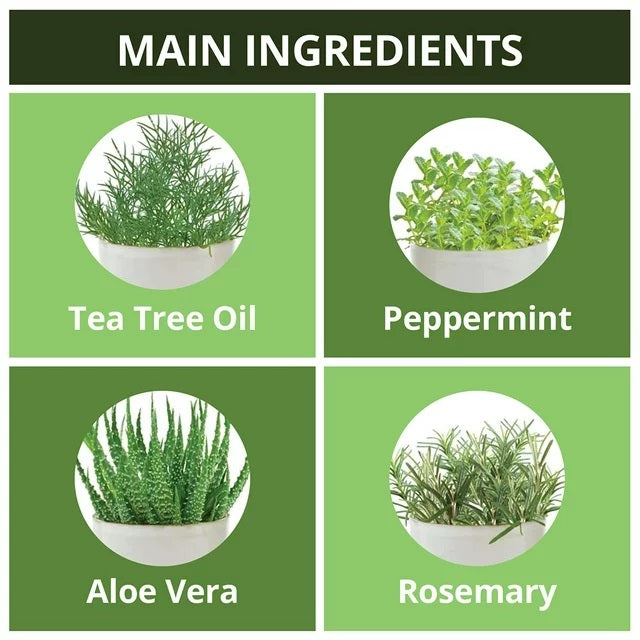 Natural On Tea Tree Cool Shampoo & Treatment Set