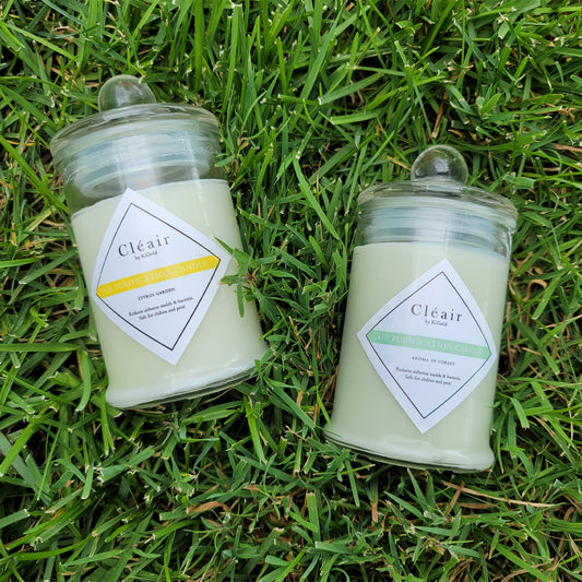 Air Purifying Candle