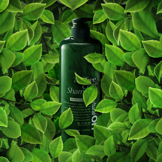 Tea Tree Cool Shampoo