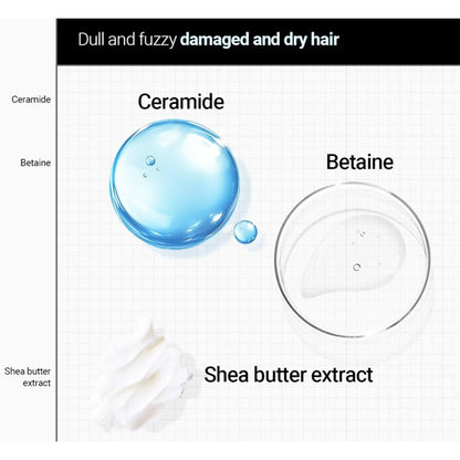 Kerasys Advanced Keratin Bond Silky Moisture Treatment