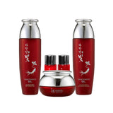 Daandan Bit Premium Red Ginseng 3set