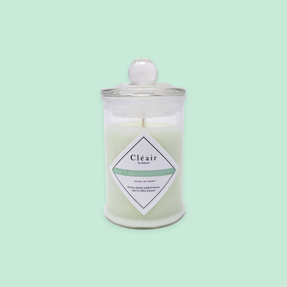 Air Purifying Candle