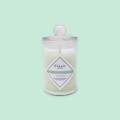 Air Purifying Candle